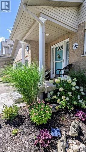 642 Interlaken Drive, Waterloo, ON 