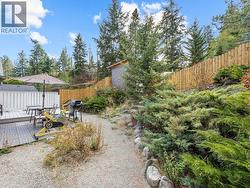 Back Yard - 