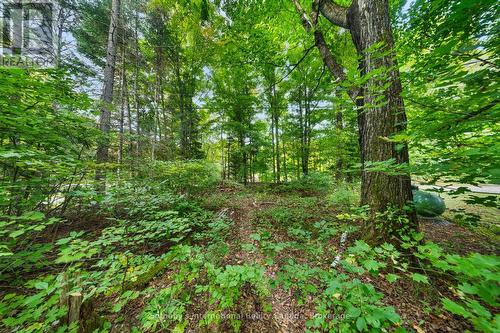 1054 Keysbury Drive, Algonquin Highlands (Mcclintock), ON 