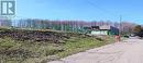 50 Roman Avenue, Elliot Lake, ON 