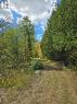 103080 Highway 7 Highway E, Marmora And Lake (Marmora Ward), ON 