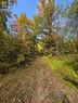 103080 Highway 7 Highway E, Marmora And Lake (Marmora Ward), ON 
