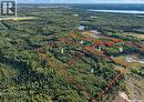 Boundary Road Land, Paddockwood Rm No. 520, SK 