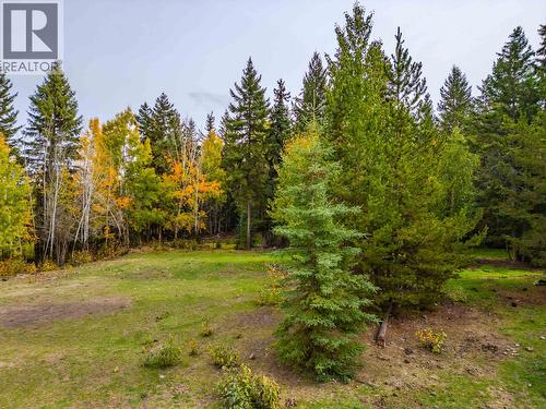 1761 Kopeka Place, Williams Lake, BC 