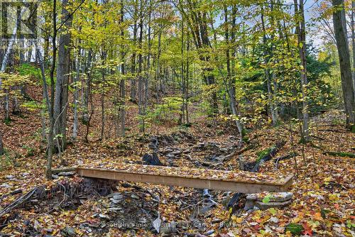 Bridge - 112 Arrowhead Crescent, Blue Mountains, ON 