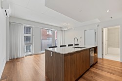 409-385 Rue St-Martin Montréal (Le Sud-Ouest), QC H3J 0C6