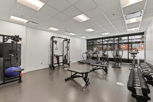 Salle d'exercice - 409-385 Rue St-Martin, Montréal (Le Sud-Ouest), QC 