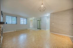 Salon - 