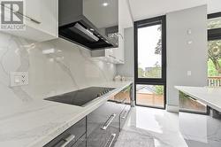 Gorgeous chef's kitchen - 