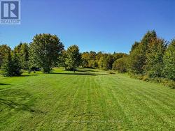 Big Yard - 