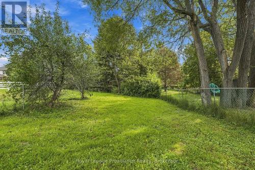 Mature fruit producing apple trees! - 378 Anne Street, Cobourg, ON 