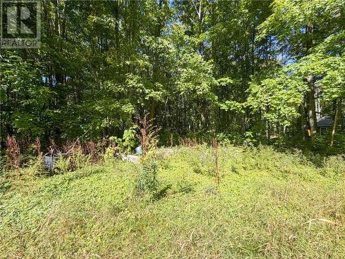 16 Bastien Road, Mindemoya, Manitoulin Island, ON 