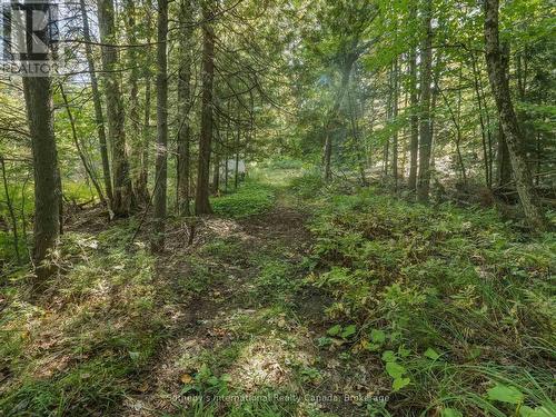 0 Bayview Acres, Lake Of Bays (Mclean), ON 