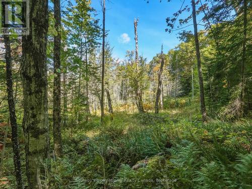 0 Bayview Acres, Lake Of Bays (Mclean), ON 