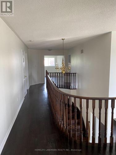 213 Barondale Drive, Mississauga, ON 