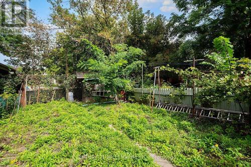16 Rochdale Avenue, Toronto, ON 