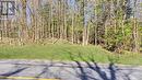 2731 Southwood Road, Gravenhurst, ON 