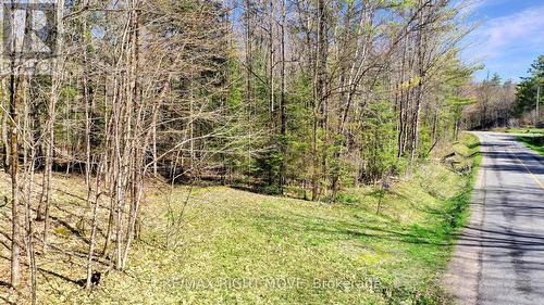 2731 Southwood Road, Gravenhurst, ON 