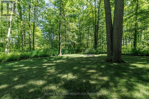 Backyard - 2187 Miller Road, Port Colborne (Bethel), ON 