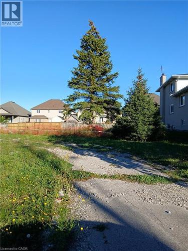 Grassed lot with mature evergreen trees and a gravel path - 28 Second Road W, Stoney Creek, ON 