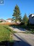 Grassed lot with mature evergreen trees and a gravel path - 28 Second Road W, Stoney Creek, ON 