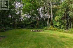 Expansive green lawn with a natural stone fire pit, bordered by mature trees and natural foliage - 