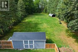 Expansive green lawn surrounded by mature trees, featuring a detached shed with a metal roof and a wooden privacy fence - 