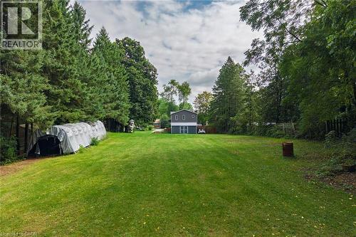 Expansive grassy yard area with mature trees bordering the perimeter - 78 Oak Street, Simcoe, ON 