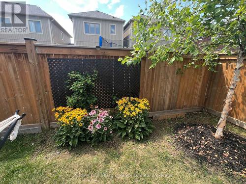 24 Barfoot Street, Collingwood, ON 