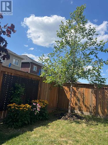 24 Barfoot Street, Collingwood, ON 