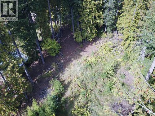 Vickers Trail Lot# 80, Anglemont, BC 