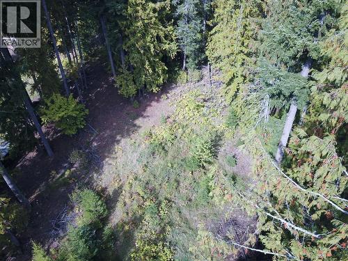 Vickers Trail Lot# 80, Anglemont, BC 