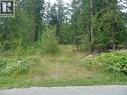 Vickers Trail Lot# 80, Anglemont, BC 