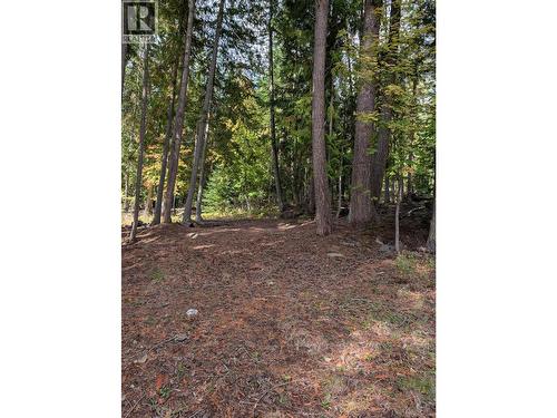 Vickers Trail Lot# 80, Anglemont, BC 