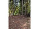 Vickers Trail Lot# 80, Anglemont, BC 