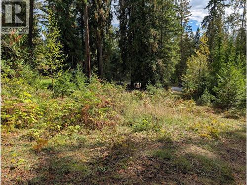 Vickers Trail Lot# 80, Anglemont, BC 