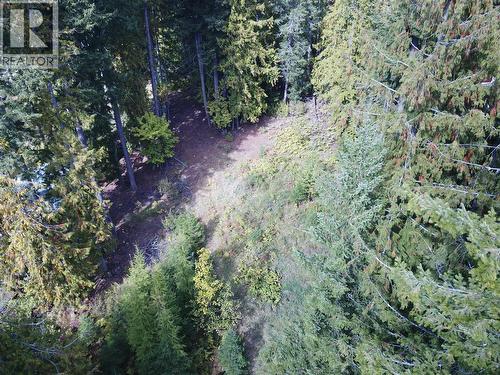 Vickers Trail Lot# 80, Anglemont, BC 