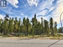 1255 18Th Avenue, Valemount, BC 