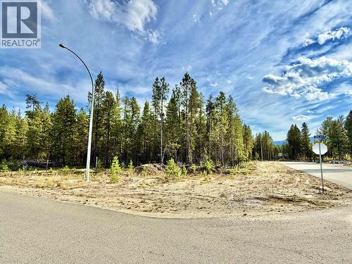 1255 18Th Avenue, Valemount, BC 