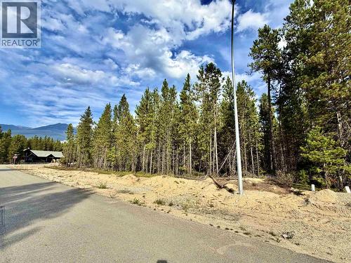 1255 18Th Avenue, Valemount, BC 