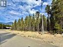 1255 18Th Avenue, Valemount, BC 