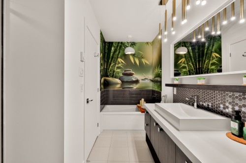 Salle de bains - 103-425 Av. De La Belle-Dame, La Prairie, QC 