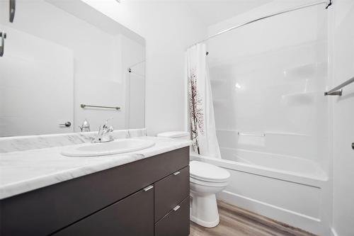 Main/basement 3 bed 2.5 bath suite - 583 Cote Street, Winnipeg, MB 