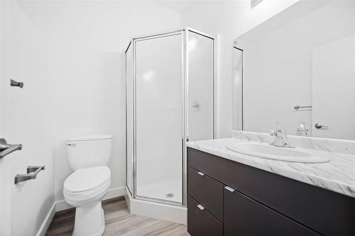 Main/basement 3 bed 2.5 bath suite - 583 Cote Street, Winnipeg, MB 
