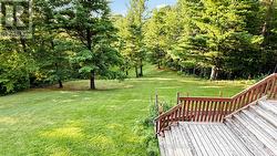 Backyard to Rear Road Frontage - 