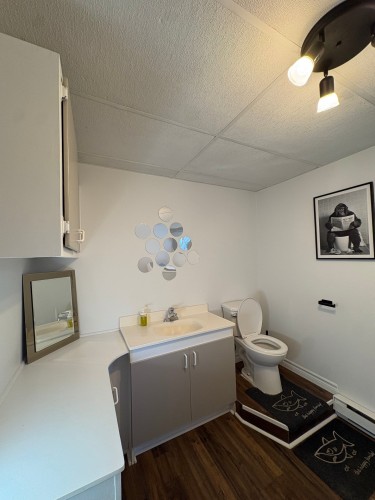 Salle d'eau - 4500 Rue Paré, Rawdon, QC 