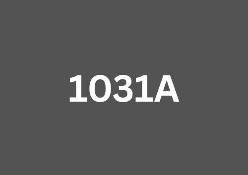 Autre - 1031  - 1033 Rue St-Hubert, Montréal (Ville-Marie), QC 
