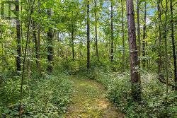 Trails/walkways throughout property - 