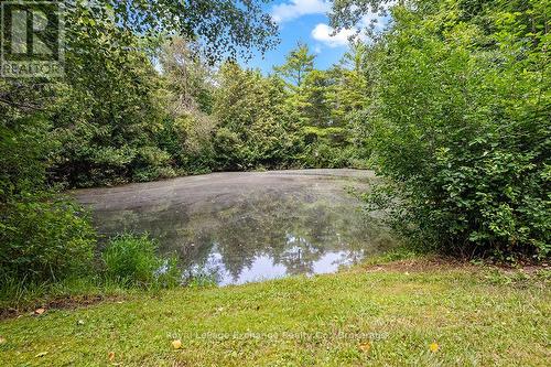 Pond - 83342 Scott Line, North Huron (Blyth), ON 