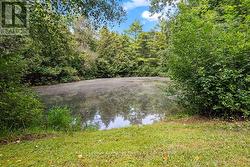 Pond - 
